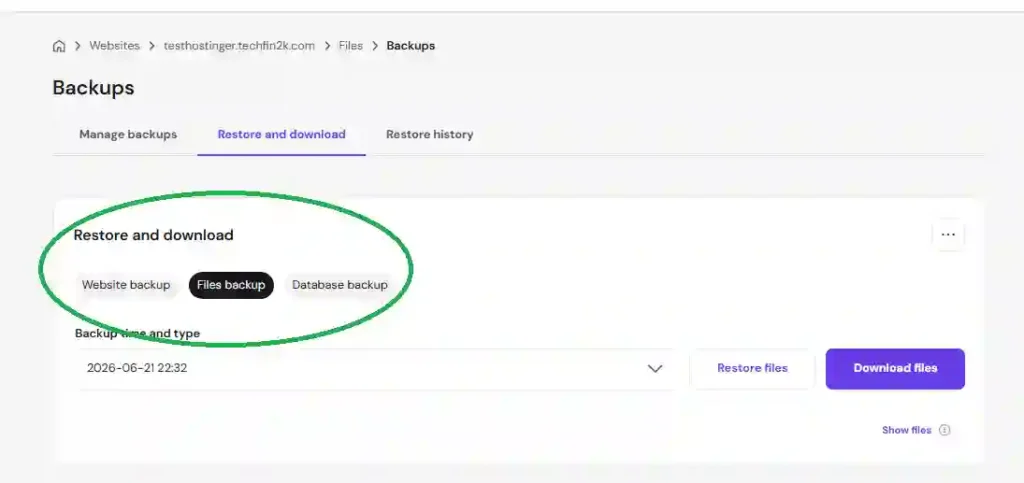 Hostinger backup options showing Website Backup, Files Backup, and Database Backup inside hPanel.