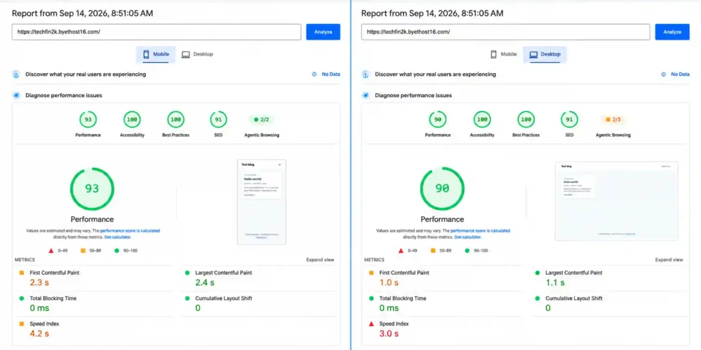 Google PageSpeed Insights results for blank WordPress website hosted on ByetHost
