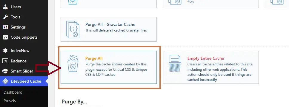 Clear LiteSpeed Cache after activating the WPCode snippet